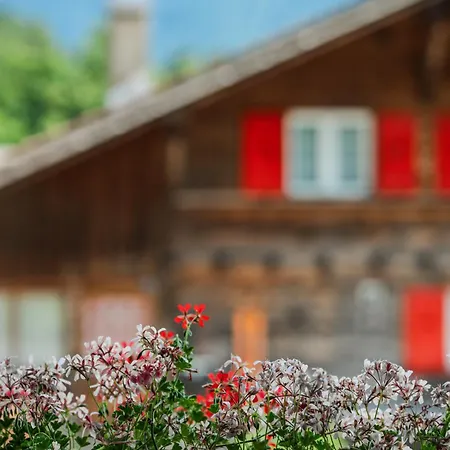 Mountain View Near Brienz With Hot Tub & Free Parking