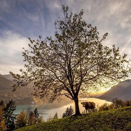Mountain View Near Brienz With Hot Tub & Free Parking * Kienholz