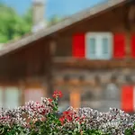 Mountain View Near Brienz With Hot Tub & Free Parking