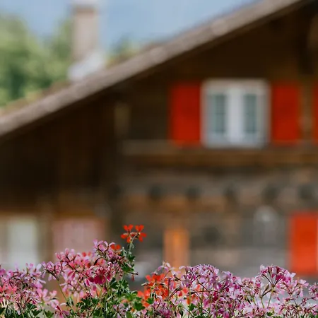 Mountain View Near Brienz With Hot Tub & Free Parking * Kienholz