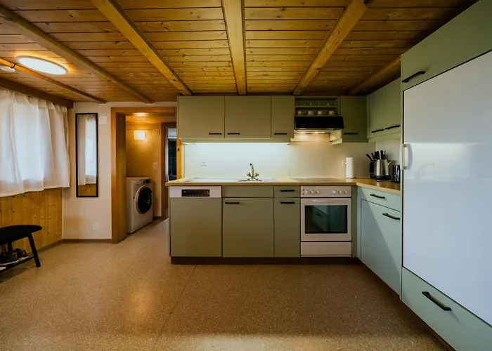 Lejlighed Mountain View Near Brienz With Hot Tub & Free Parking