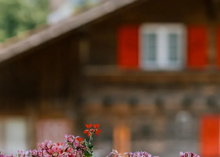 Mountain View Near Brienz With Hot Tub & Free Parking * Kienholz