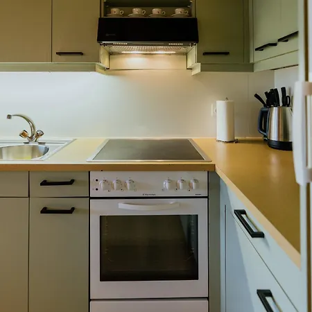 Apartment Mountain View Near Brienz With Hot Tub & Free Parking Kienholz